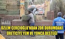 Özlem Çerçioğlu’ndan zor durumdaki üreticiye yem ve yonca desteği