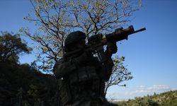 2 PKK'lı terörist teslim oldu