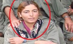 MİT, terör örgütü PKK'nın sözde sorumlusunu Suriye'de etkisiz hale getirdi