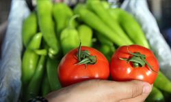 Batı Akdeniz'in ocak ayı ihracat gelirinin dörtte biri domates, biber ve hıyardan