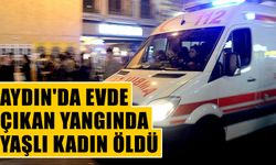 Aydın'da evde çıkan yangında yaşlı kadın öldü