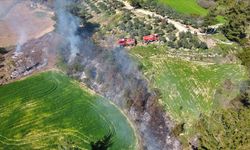 Osmaniye'de orman yangınında 5 dekarlık alan zarar gördü