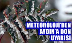 Meteoroliji’den Aydın’a don uyarısı