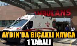 Aydın'da bıçaklı kavgada 1 kişi yaralandı