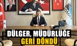 Dülger, müdürlüğe geri döndü