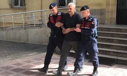 Aydın'da otoyolda ölü bulunan kadına çarptığı belirlenen kamyon sürücüsü tutuklandı