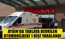 Aydın'da tarlaya devrilen otomobildeki 1 kişi yaralandı