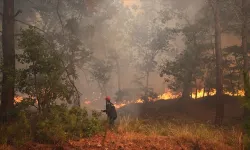 Hava sıcaklıklarındaki artış orman yangını riskini artırdı, uyarılar birbiri ardına yapıldı