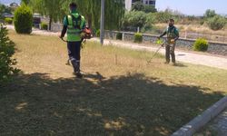 Nazilli Belediyesi'nin çalışmalarıyla yeşil alanlar daha ferah