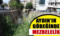 Aydın’ın göbeğinde mezbelelik