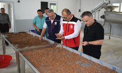 Müdür Altıntaş, Bozdoğan'da fıstık kooperatifini ziyaret etti