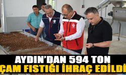 Aydın 594 Ton çam fıstığı ihraç etti