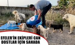 Efeler’in ekipleri can dostlar için sahada