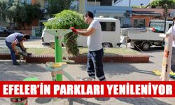 Efeler’in parkları yenileniyor