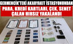 Germencik'te hırsızlık şüphelisi yakalandı