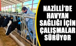 Nazilli’de havyan sağlığı için çalışmalar sürüyor