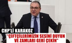 CHP’li Evrim Karakoz: “Çiftçilerimizin sesini duyun ve zamları geri çekin”