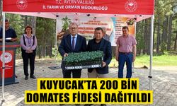Kuyucak’ta 200 bin domates fidesi dağıtıldı