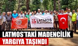 Latmos’taki madencilik yargıya taşındı