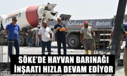 Söke’de hayvan barınağı inşaatı hızla devam ediyor