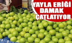 Yayla eriği damak çatlatıyor