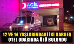 12 ve 14 yaşlarındaki iki kardeş otel odasında ölü bulundu