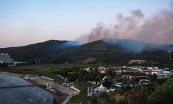 Kuşadası-Selçuk arasında orman yangınına müdahale sürüyor