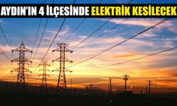 Aydın'ın 4 ilçesinde elektrik kesintisi: 9 Temmuz 2024 Salı