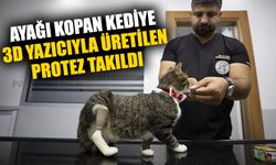 Aydın’da ayağı kopan kediye 3D yazıcıyla üretilen protez takıldı