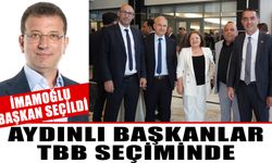 Aydınlı başkanlar, TBB seçiminde