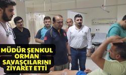 Müdür Şenkul orman savaşçılarını ziyaret etti