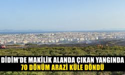 Didim’de makilik alanda çıkan yangında 70 dönüm arazi küle döndü