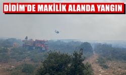 Didim'de makilik alanda yangın