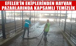 Efeler’in ekiplerinden hayvan pazarlarında kapsamlı temizlik