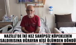Nazilli’de iki kez sahipsiz köpeklerin saldırısına uğrayan kişi ölümden döndü