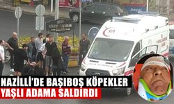 Nazilli’de başıboş köpekler yaşlı adama saldırdı