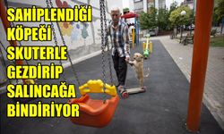 Sahiplendiği köpeği skuterle gezdirip salıncağa bindiriyor