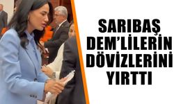 Sarıbaş, DEM’lilerin dövizlerini yırttı