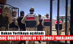 Aydın’da suç örgütü çökertildi