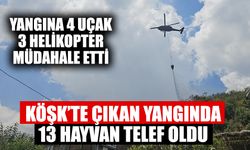 Köşk’te çıkan yangında 13 hayvan telef oldu