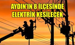 Aydın'ın 8 ilçesinde elektrik kesintisi yaşanacak