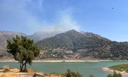 Muğla'nın Milas ilçesinde orman yangını çıktı