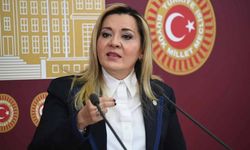 Aylin Cesur İYİ Parti'den istifa etti