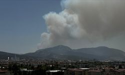 İzmir Bornova'da çıkan orman yangınına müdahale ediliyor