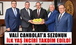 Vali Canbolat'a sezonun ilk yaş inciri takdim edildi