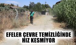 Efeler çevre temizliğinde hız kesmiyor