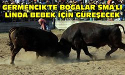 Germencik'te Boğalar SMA'lı Linda bebek için güreşecek