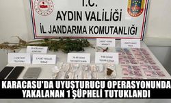 Karacasu'da uyuşturucu operasyonunda yakalanan 1 şüpheli tutuklandı