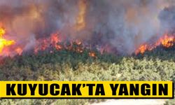 Kuyucak’ta yangın