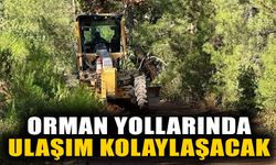 Karacasu’da hummalı çalışma